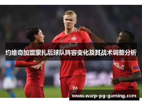 约维奇加盟蒙扎后球队阵容变化及其战术调整分析